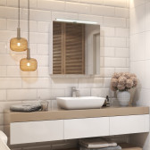 Шкаф VIGO навесной с зеркалом Plaza 700 со светильником (zsh.PLA.70.El)