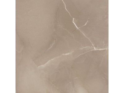 Керамогранит Passion Lux 60 Taupe 60x60