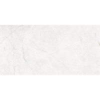 Керамогранит NL00 60x120x10 Непол.Рект.