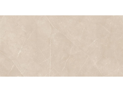 Керамогранит NL01 60x120x10 Непол.Рект.