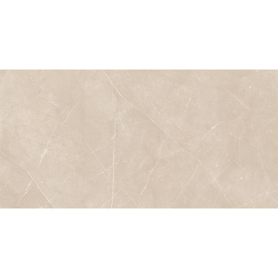 NL01 60x120x10 Непол.Рект.