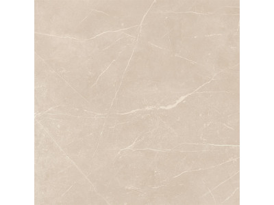 Керамогранит NL01 60x60x10 Непол.Рект.