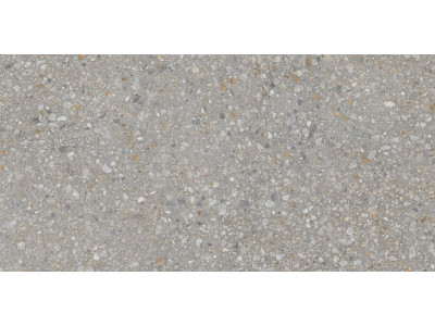 AG23 60x120x10 Непол.Рект. Dark Grey
