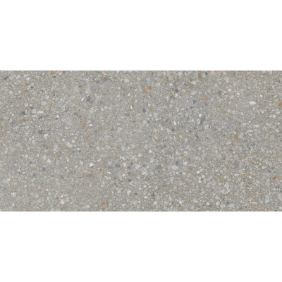 AG23 60x120x10 Непол.Рект. Dark Grey
