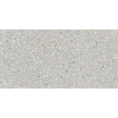 AG21 60x120x10 Непол.Рект. Light Grey