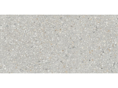 AG21 60x120x10 Непол.Рект. Light Grey