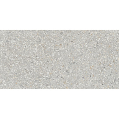 AG21 60x120x10 Непол.Рект. Light Grey