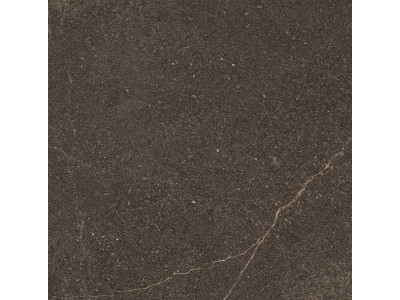 GB04 60x60x10 Непол.Рект. Brown
