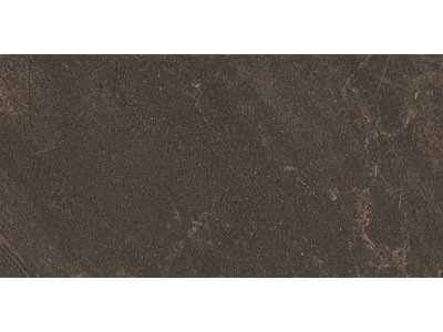 GB04 60x120x10 Непол.Рект. Brown
