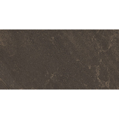 GB04 60x120x10 Непол.Рект. Brown
