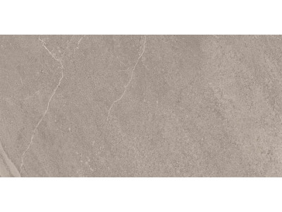 GB02 60x120x10 Непол.Рект. Grey
