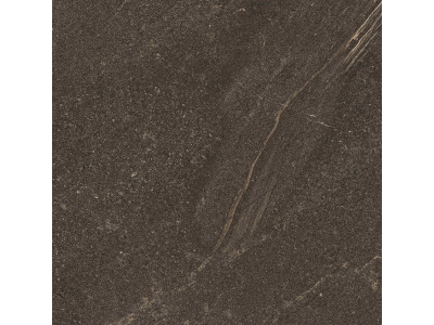 GB04 60x60x10 Непол.Рект. Brown
