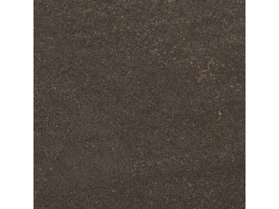 GB04 60x60x10 Непол.Рект. Brown
