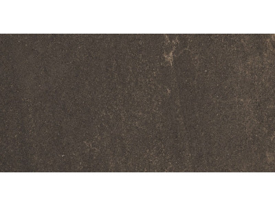 GB04 60x120x10 Непол.Рект. Brown
