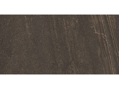 GB04 60x120x10 Непол.Рект. Brown
