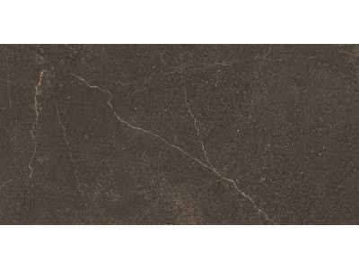 GB04 60x120x10 Непол.Рект. Brown
