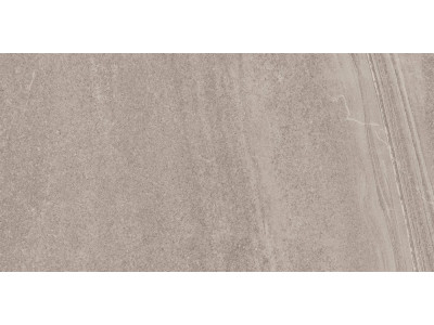 GB02 60x120x10 Непол.Рект. Grey
