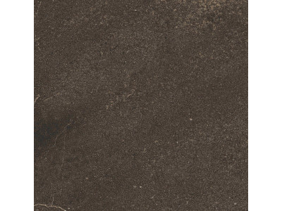GB04 60x60x10 Непол.Рект. Brown
