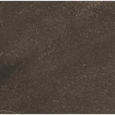 GB04 60x60x10 Непол.Рект. Brown

