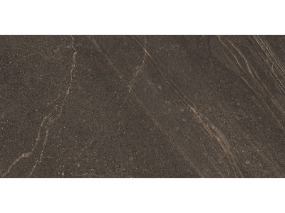 GB04 60x120x10 Непол.Рект. Brown
