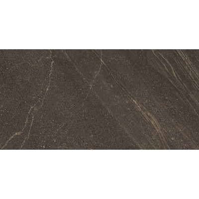 GB04 60x120x10 Непол.Рект. Brown

