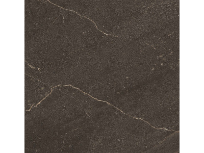 GB04 60x60x10 Непол.Рект. Brown
