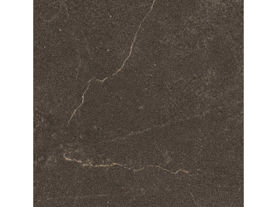 GB04 60x60x10 Непол.Рект. Brown
