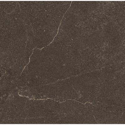 GB04 60x60x10 Непол.Рект. Brown
