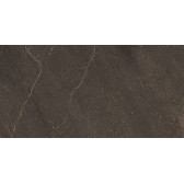 GB04 60x120x10 Непол.Рект. Brown
