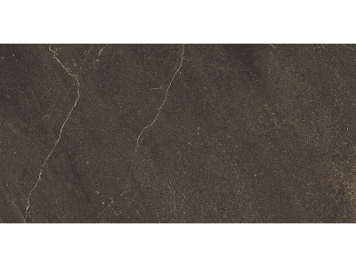 GB04 60x120x10 Непол.Рект. Brown
