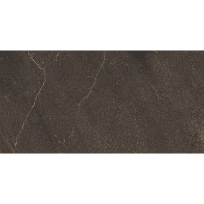 GB04 60x120x10 Непол.Рект. Brown
