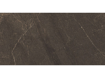 GB04 60x120x10 Непол.Рект. Brown

