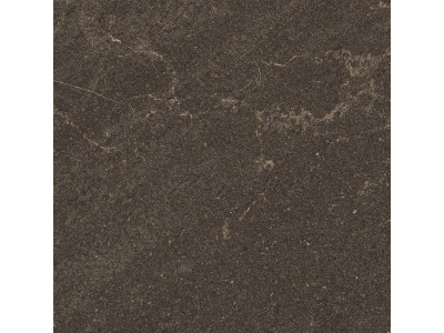 GB04 60x60x10 Непол.Рект. Brown
