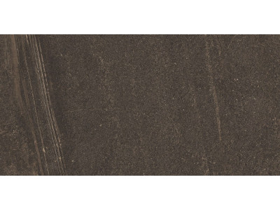 GB04 60x120x10 Непол.Рект. Brown
