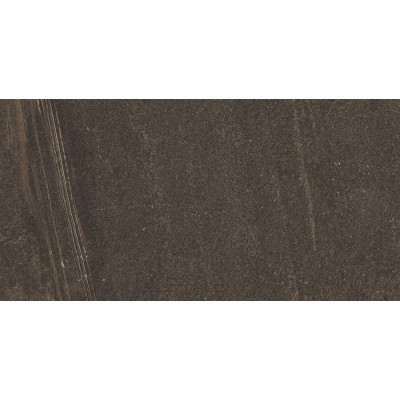 GB04 60x120x10 Непол.Рект. Brown
