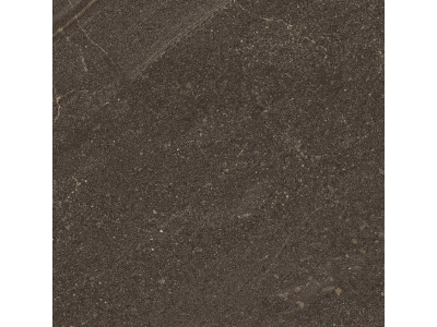 GB04 60x60x10 Непол.Рект. Brown
