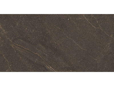 GB04 60x120x10 Непол.Рект. Brown
