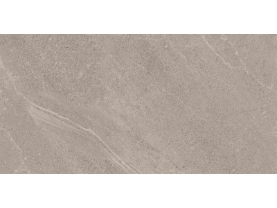 GB02 60x120x10 Непол.Рект. Grey
