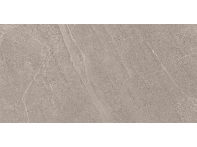 GB02 60x120x10 Непол.Рект. Grey

