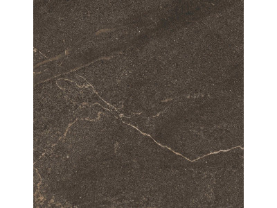 GB04 60x60x10 Непол.Рект. Brown
