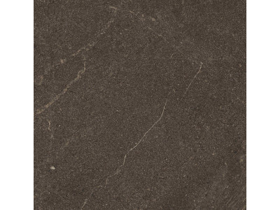 GB04 60x60x10 Непол.Рект. Brown
