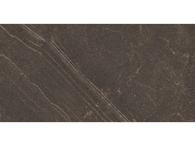 GB04 60x120x10 Непол.Рект. Brown
