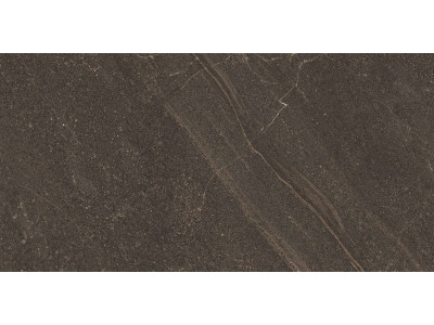 GB04 60x120x10 Непол.Рект. Brown
