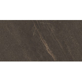GB04 60x120x10 Непол.Рект. Brown
