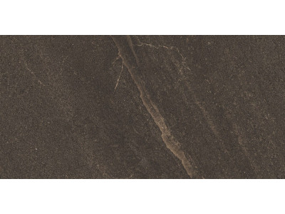 GB04 60x120x10 Непол.Рект. Brown
