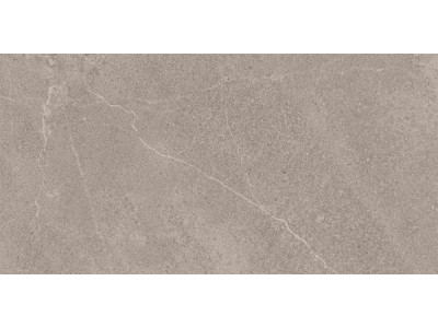 GB02 60x120x10 Непол.Рект. Grey
