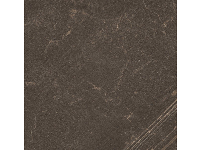 GB04 60x60x10 Непол.Рект. Brown
