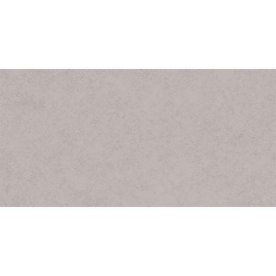 LF01 60x120x10 Непол.Рект. Grey
