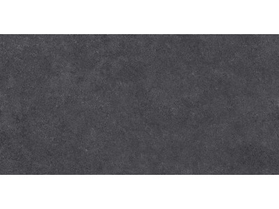 LN04 60x120x10 Непол.Рект. Black
