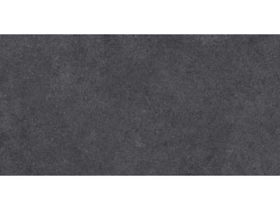 LN04 60x120x10 Непол.Рект. Black
